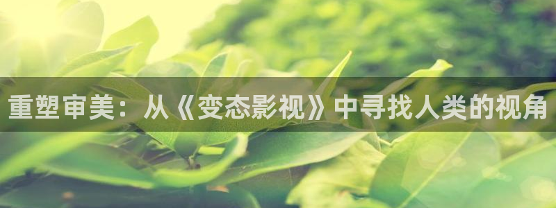 探花在线观看视频：重塑审美：从《变态影视》中寻找人类的视角