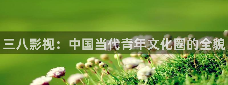 探花视频高清免费观看：三八影视：中国当代青年文化圈的全貌