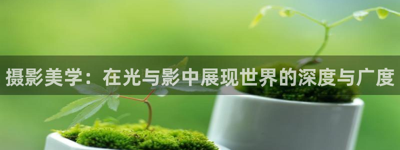 探花精品在线视频