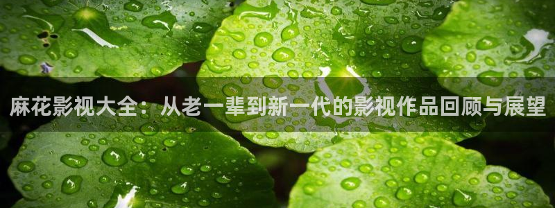 国民探花视频：麻花影视大全：从老一辈到新一代的影视作品回顾与展望