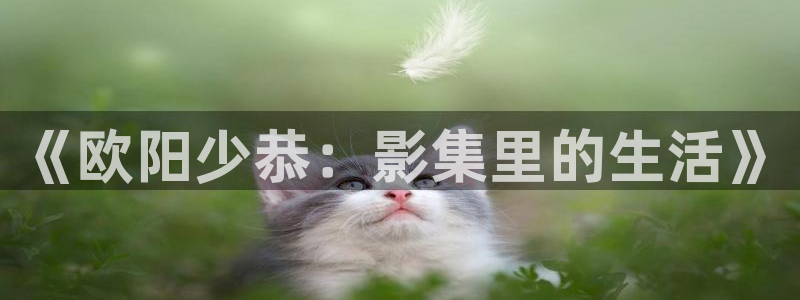 探花视频在线观看+在线播放：《欧阳少恭：影集里的生活》