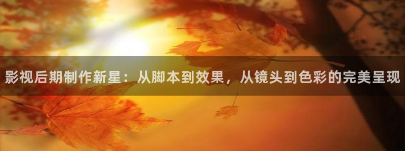 小宝探花在线观看视频：影视后期制作新星：从脚本到效果，从镜头到色彩的完美呈现
