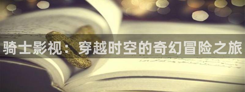 探花视频 在线