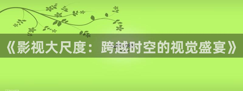 探花的视频