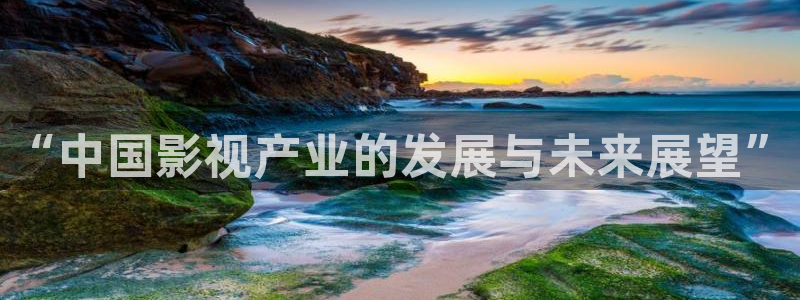 国产探花一区视频：“中国影视产业的发展与未来展望”