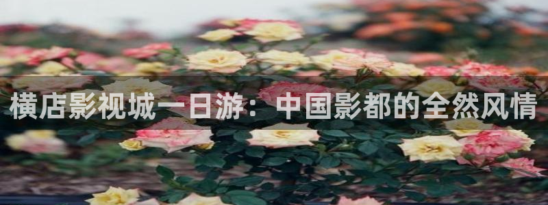 探花系列电影：横店影视城一日游：中国影都的全然风情