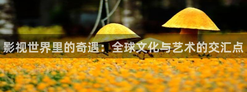 视频 探花 一区
