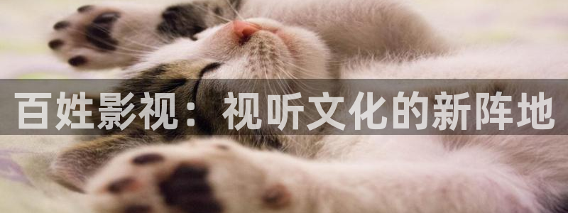 探花视频神马在线：百姓影视：视听文化的新阵地