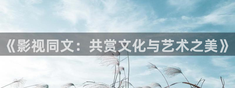 国产探花精品视频