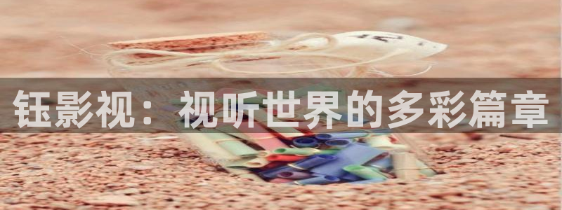 探花视频全集